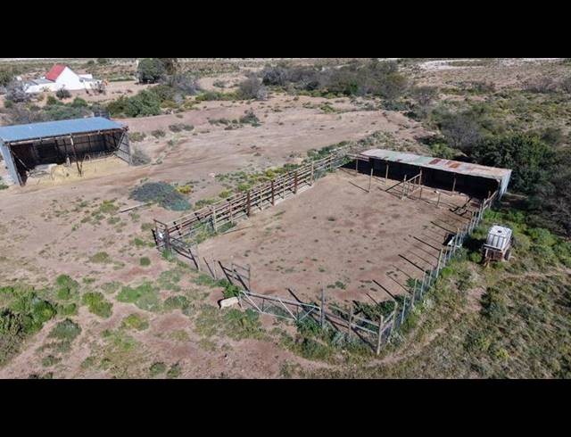FARM FOR SALE IN LADISMITH